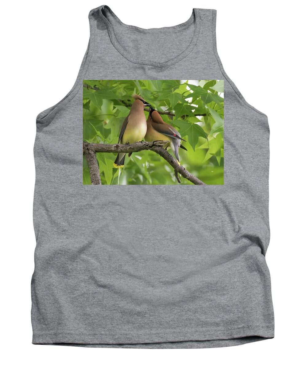 Bird Tank Top featuring the photograph Kissing in a Tree by Jody Partin