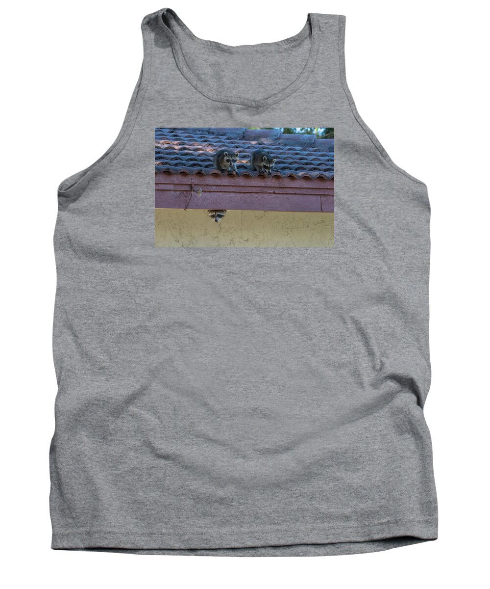 Raccoons Tank Top featuring the photograph Kits on the Roof by Dorothy Cunningham