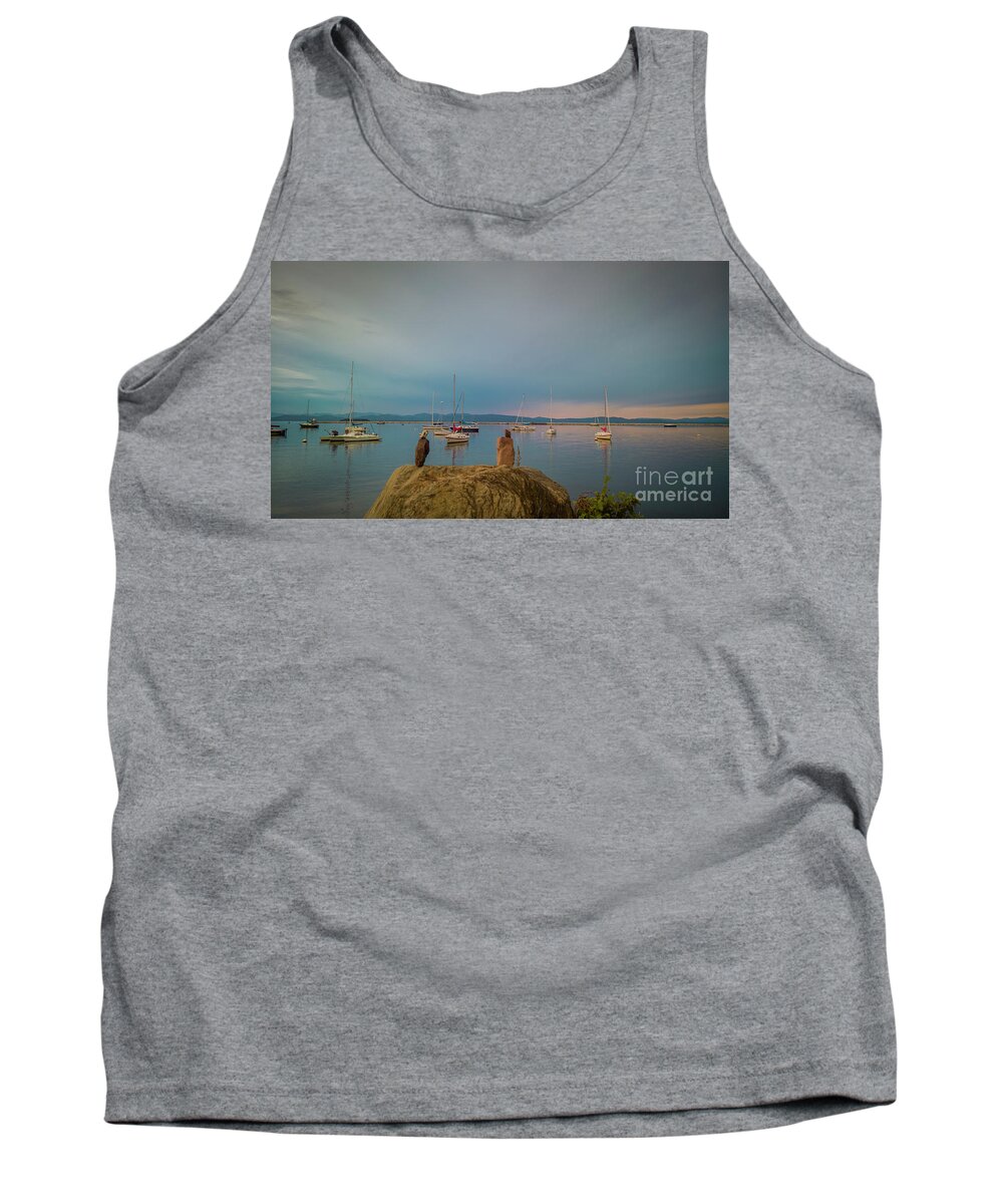 Lake Tank Top featuring the photograph Lake Champlain in the evening by Agnes Caruso