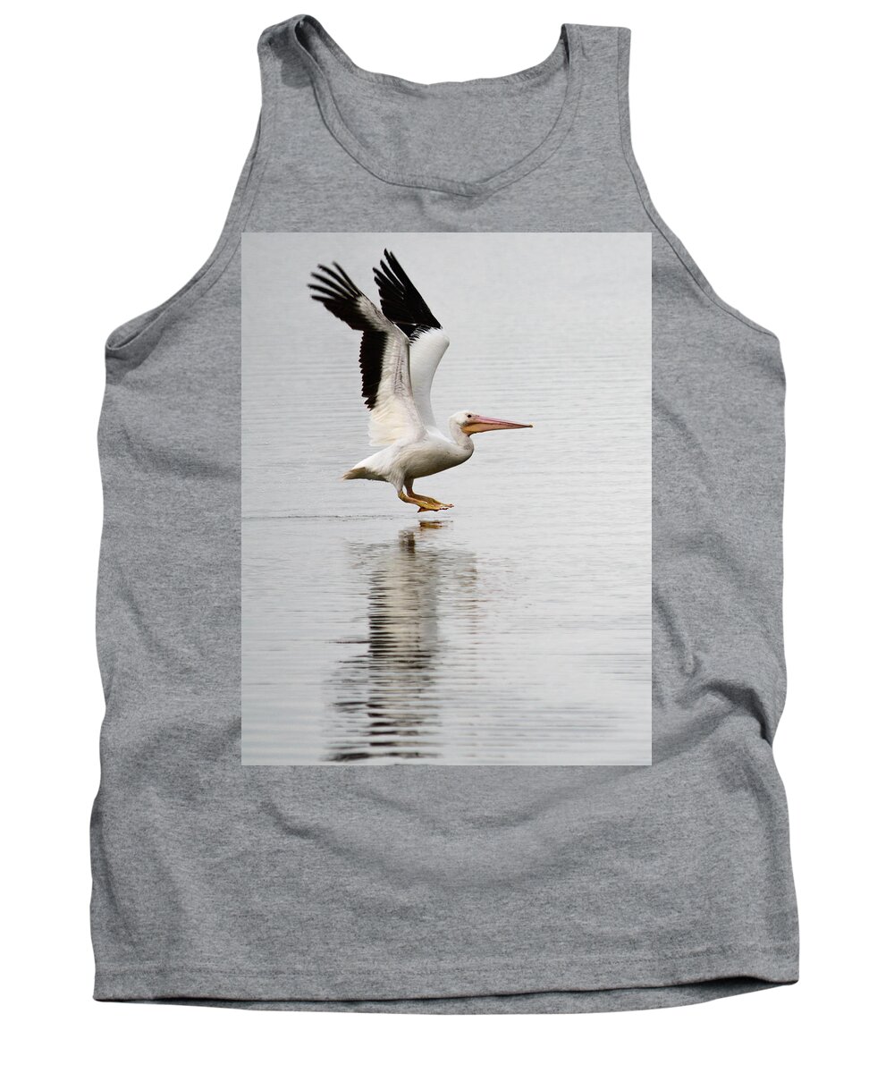 Pelican Tank Top featuring the photograph Landing by Barry Bohn