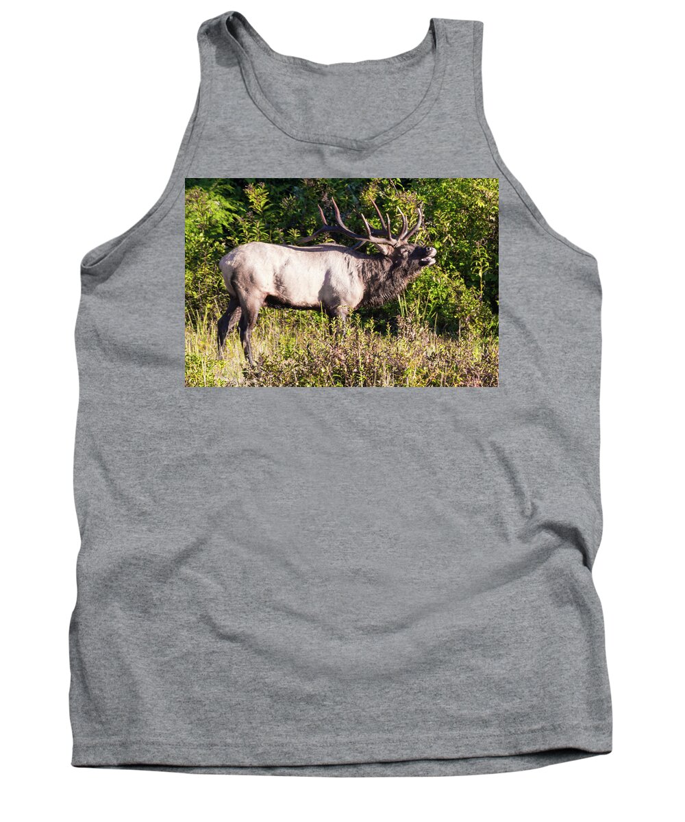 Bull Tank Top featuring the photograph Large Bull Elk Bugling by D K Wall
