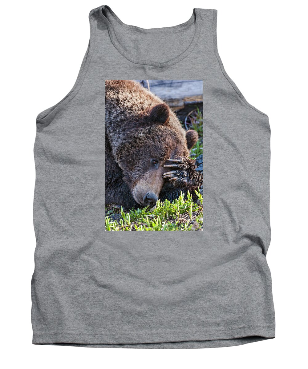 Bear Tank Top featuring the photograph Lazy Bear by Wesley Aston