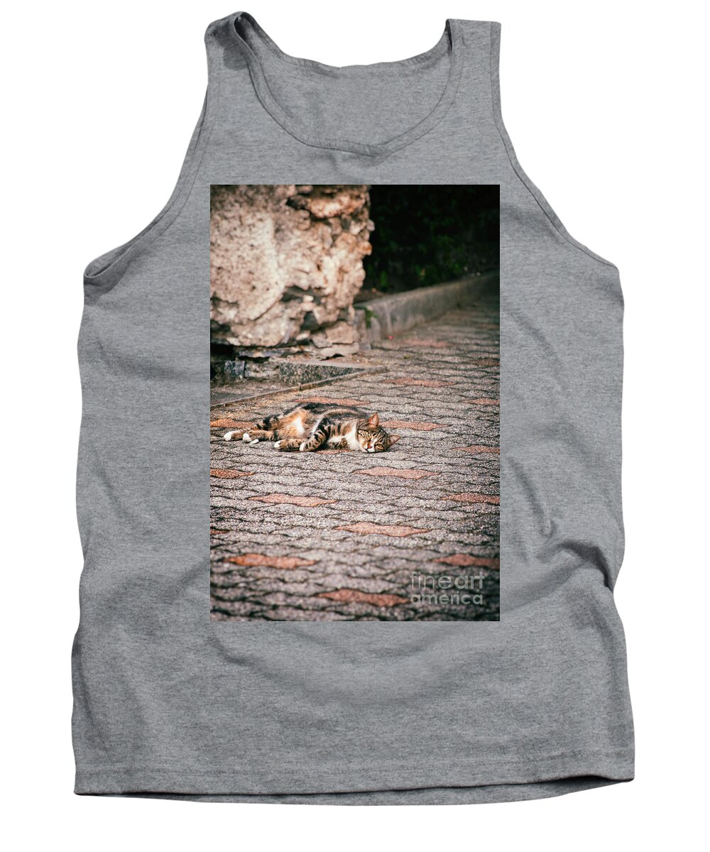 Animal Tank Top featuring the photograph Lazy cat  by Silvia Ganora