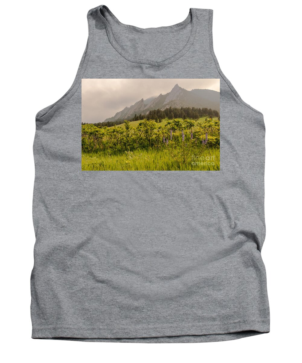Air Tank Top featuring the photograph Lazy Flatrisons Spring by Greg Summers