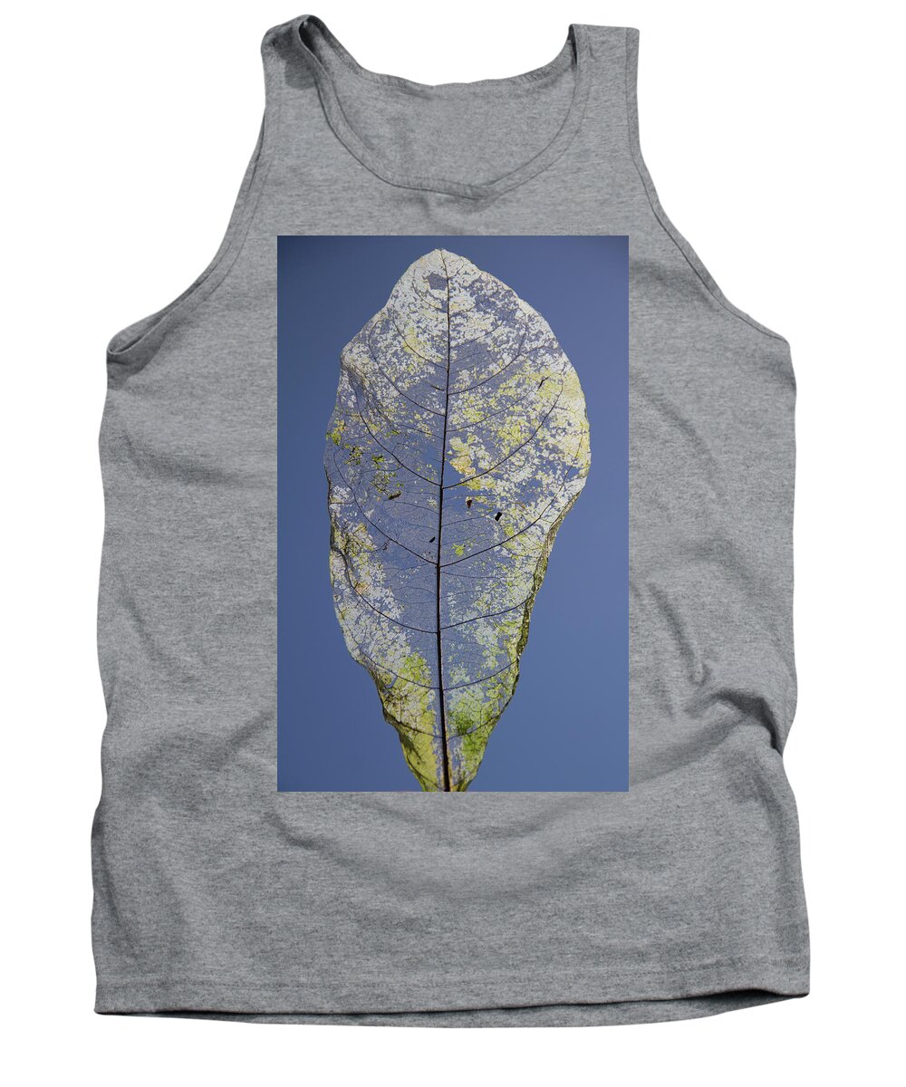 Leaf Tank Top featuring the photograph Leaf by Debbie Cundy