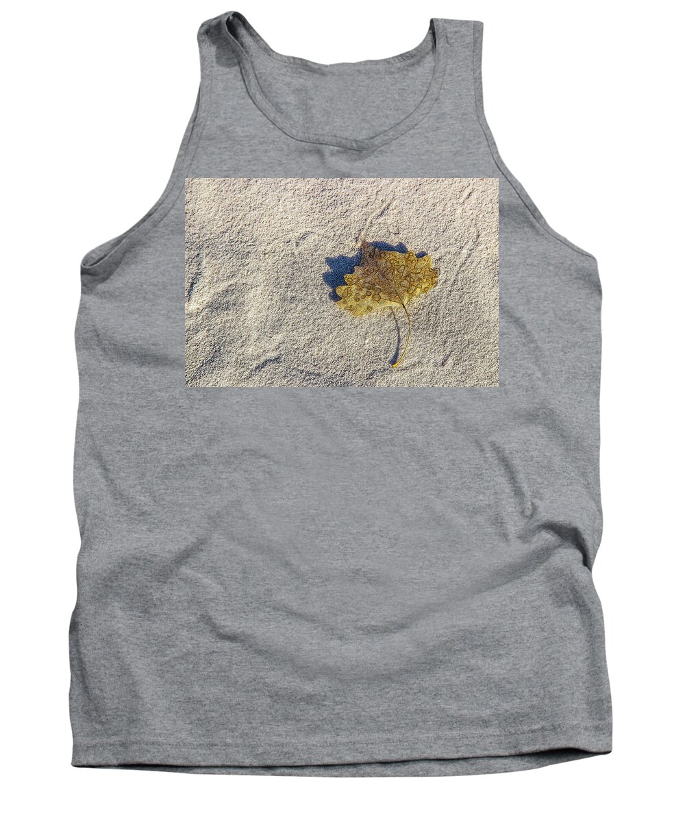Monument Tank Top featuring the photograph Leaf, Shadow and Sand by Roslyn Wilkins