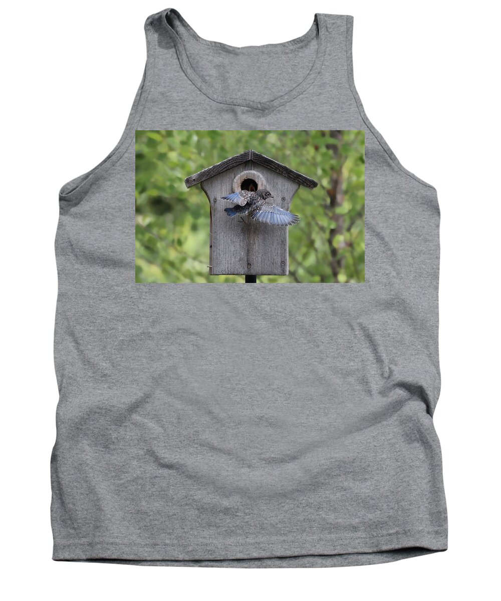 Bluebird Tank Top featuring the photograph Leaving Home by Jackson Pearson