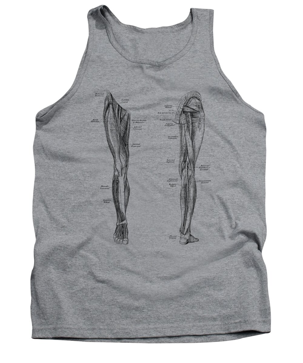 Leg Muscles Tank Top featuring the drawing Leg Muscular System - Dual-View - Vintage Anatomy Print by Vintage Anatomy Prints