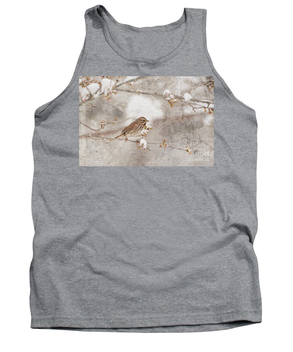 Texture Tank Top featuring the photograph Little House Sparrow by Lila Fisher-Wenzel