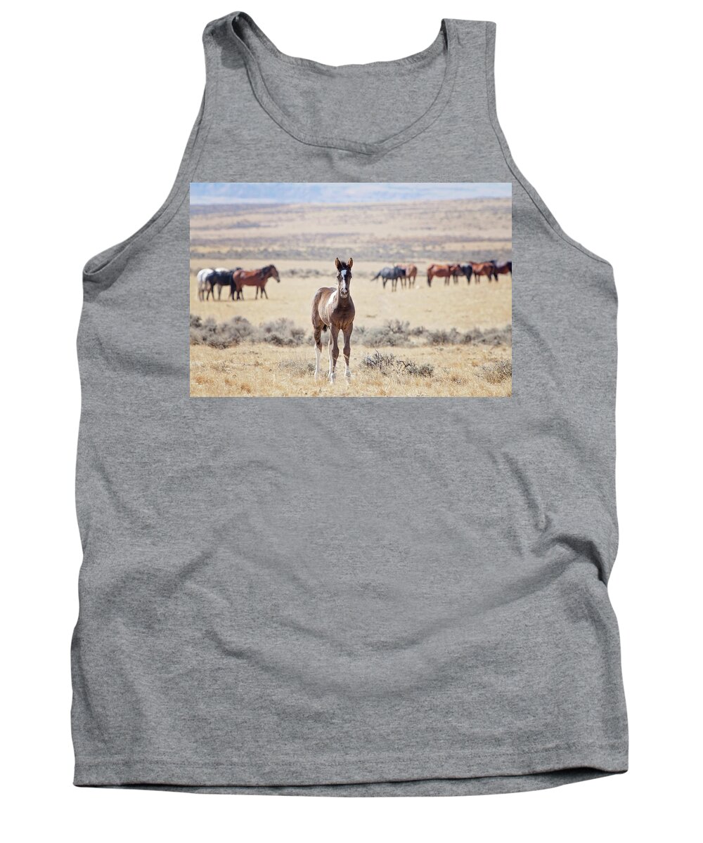 Wild Horses Tank Top featuring the photograph Little Prince by Eilish Palmer