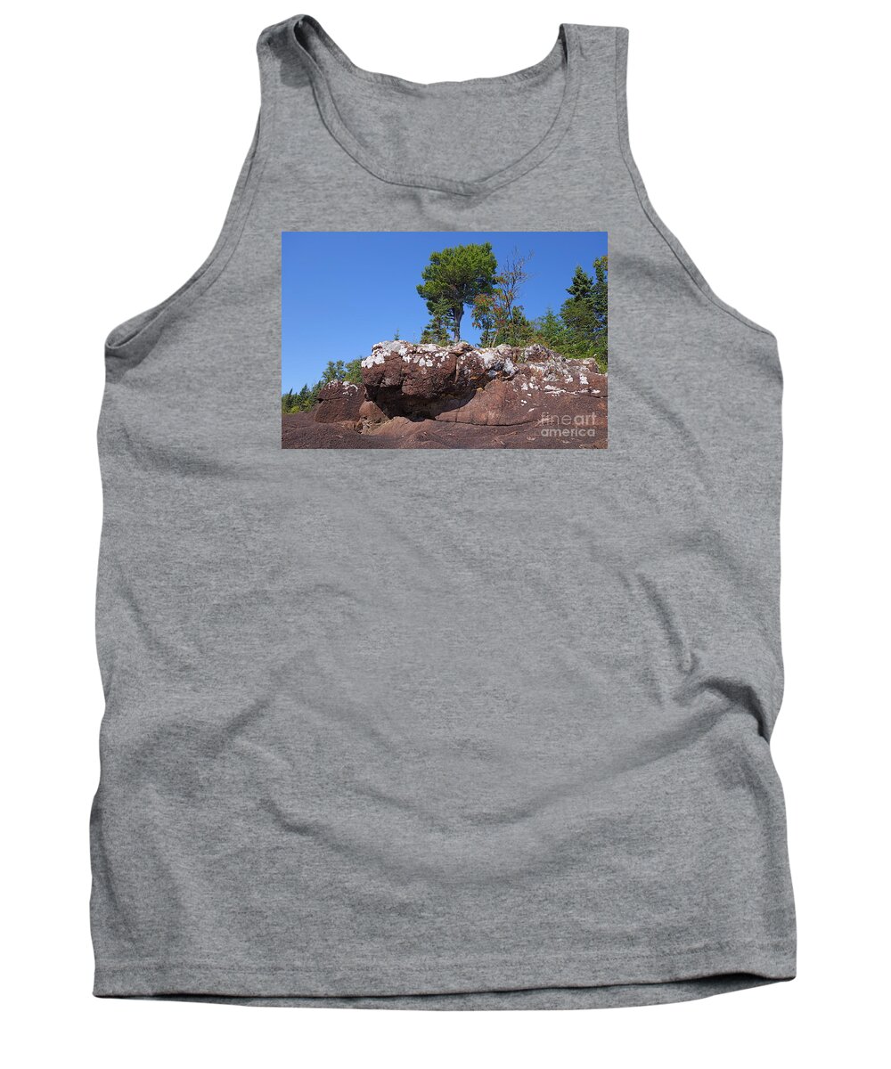 Lake Superior Tank Top featuring the photograph Lone Pine Sentinel by Sandra Updyke