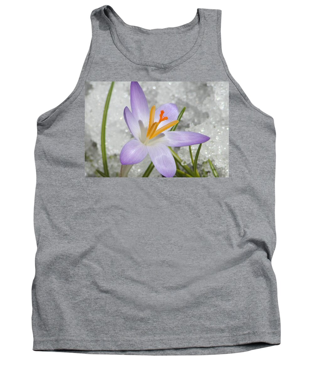 Photography Tank Top featuring the digital art Look to the Sun by Barbara S Nickerson