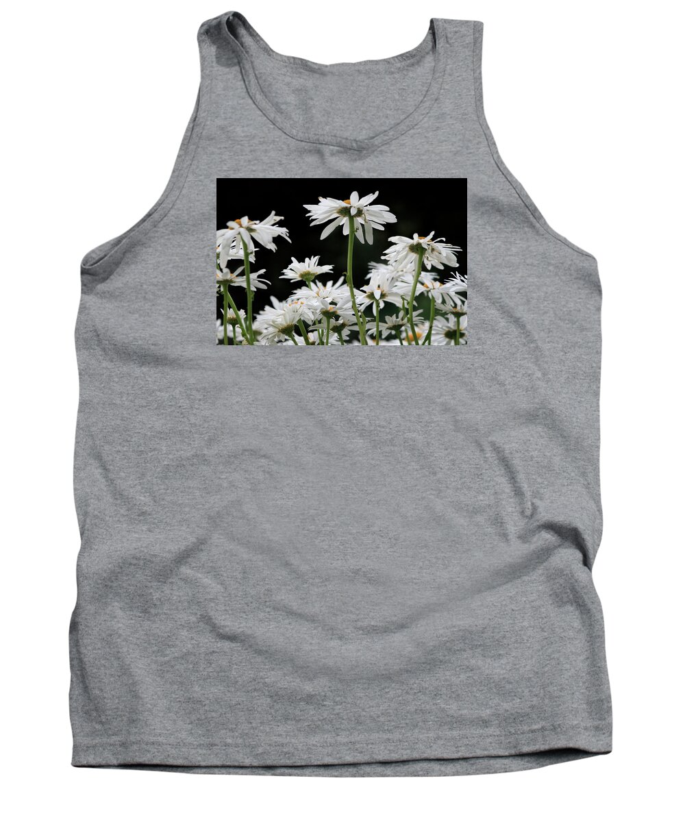Daisies Under View Tank Top featuring the photograph Looking Up at at Daisies by Dorothy Cunningham