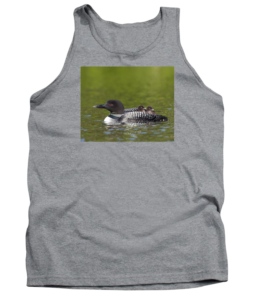John Vose Tank Top featuring the photograph Loon taxi by John Vose