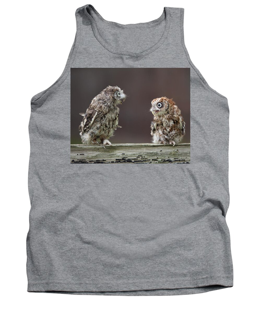 Two Tank Top featuring the photograph Lover's Spat by Jack Nevitt