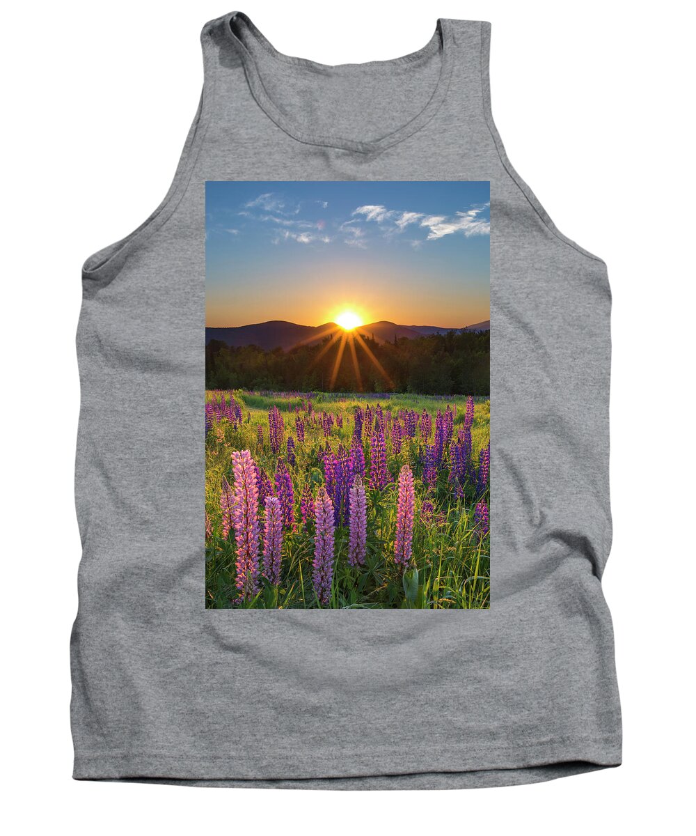 Lupine Tank Top featuring the photograph Lupine Sunrise Sugar Hill by White Mountain Images