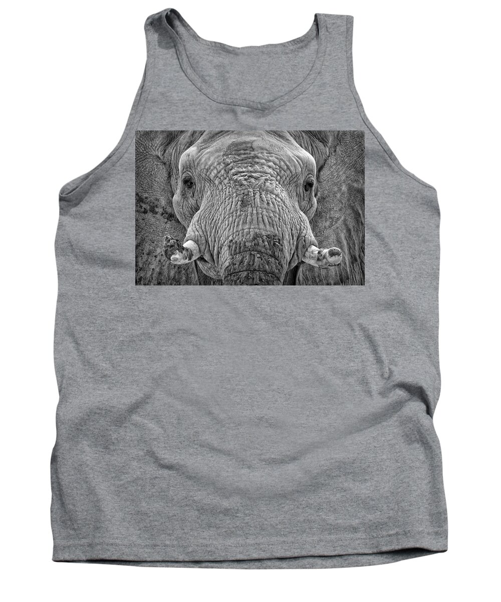 Elephants Tank Top featuring the photograph Mabu Up Close N Personal by Elaine Malott