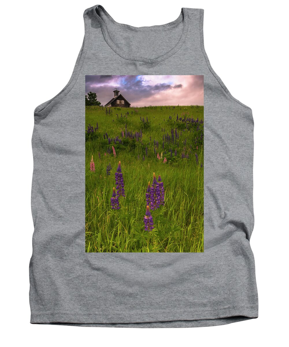 Maine Tank Top featuring the photograph Maine Lupines and Home after Rain and Storm by Ranjay Mitra