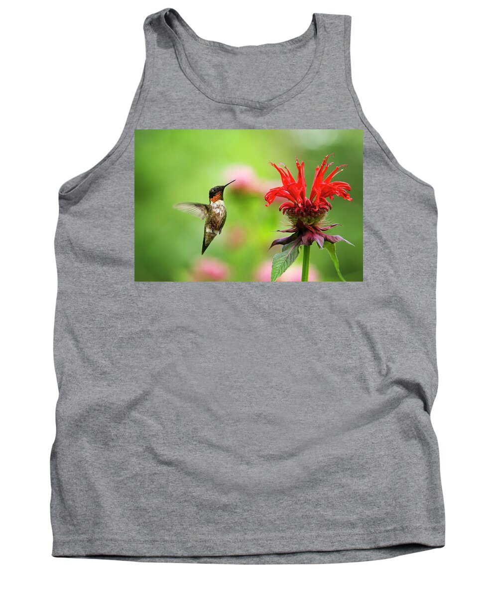 Hummingbird Tank Top featuring the photograph Male Ruby-Throated Hummingbird Hovering Near Flowers by Christina Rollo