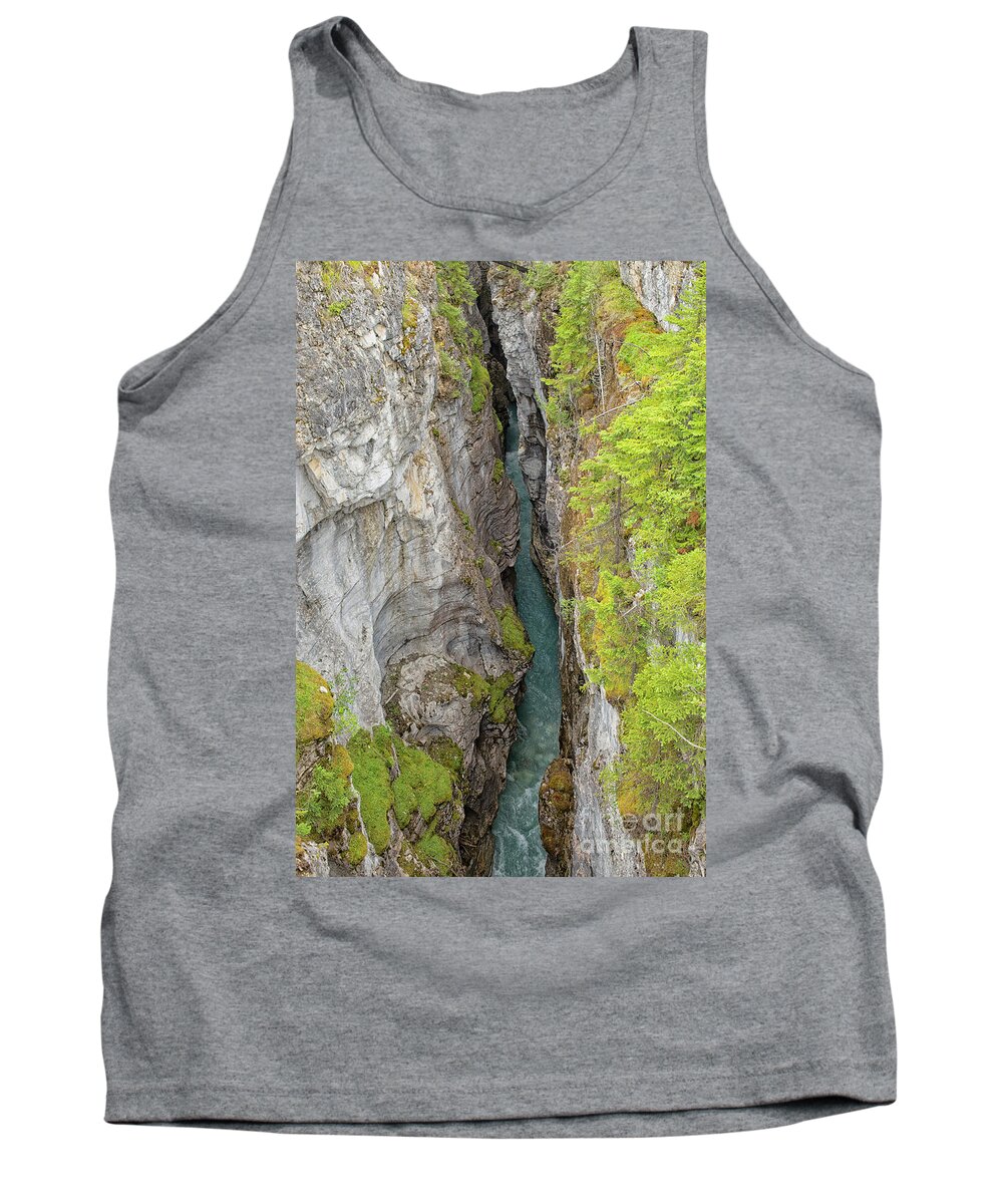 Alberta Tank Top featuring the photograph Marble canyon gorge by Patricia Hofmeester