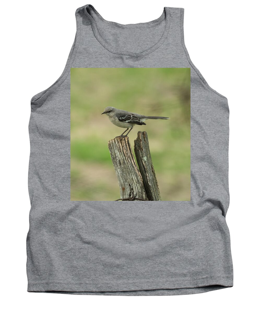 Jan Holden Tank Top featuring the photograph Perched on an Old Fence by Holden The Moment