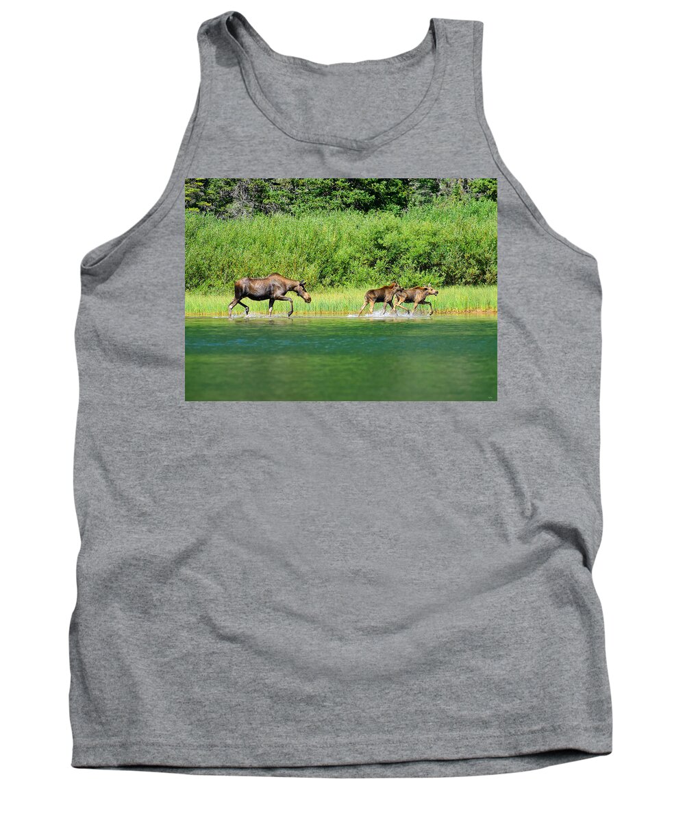 Moose Tank Top featuring the photograph Moose Play by Greg Norrell