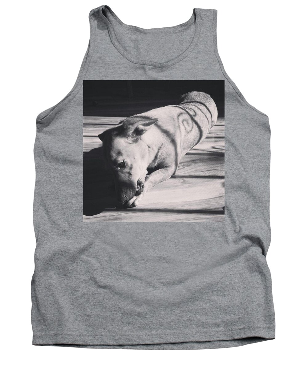 Shadows Tank Top featuring the photograph Morning Glory by Leah McPhail