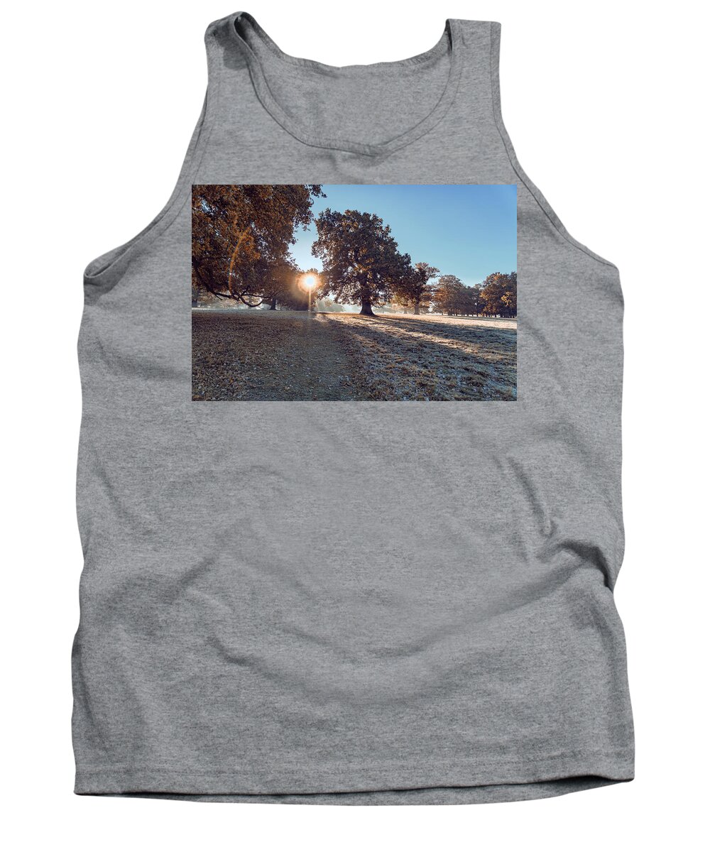 Sunrise Tank Top featuring the photograph Morning Light by Scott Carruthers