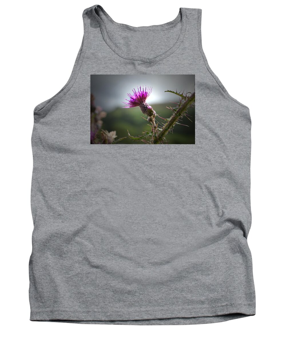 Thistle Tank Top featuring the photograph Morning Purple Thistle. by Terence Davis