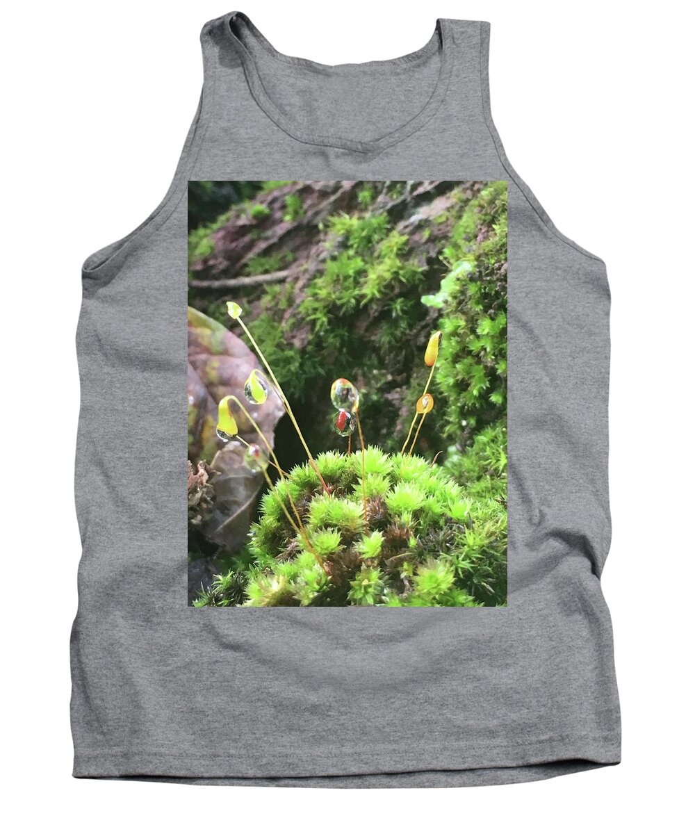 Kelly Hazel Tank Top featuring the photograph Moss and Dewdrops by Kelly Hazel
