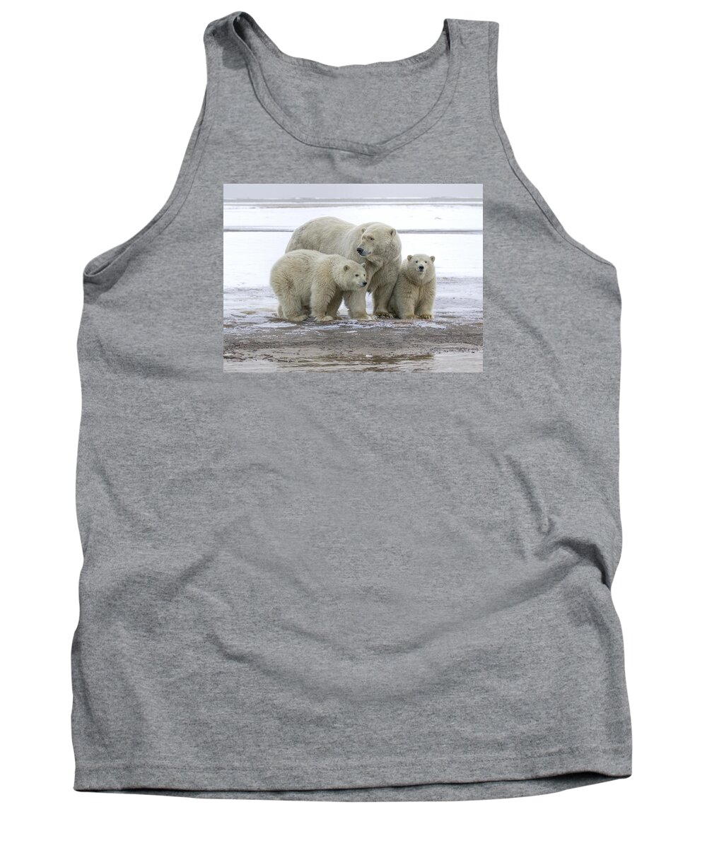 Animal Tank Top featuring the photograph Mother and Cubs in the Arctic by Cheryl Strahl