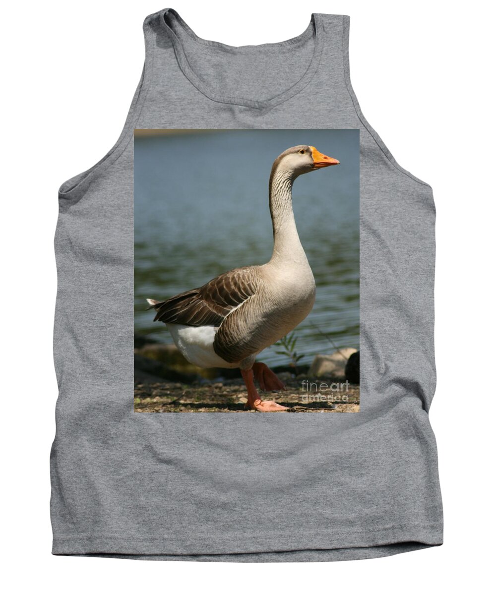 Goose Tank Top featuring the photograph Mother Goose by Dawn Downour