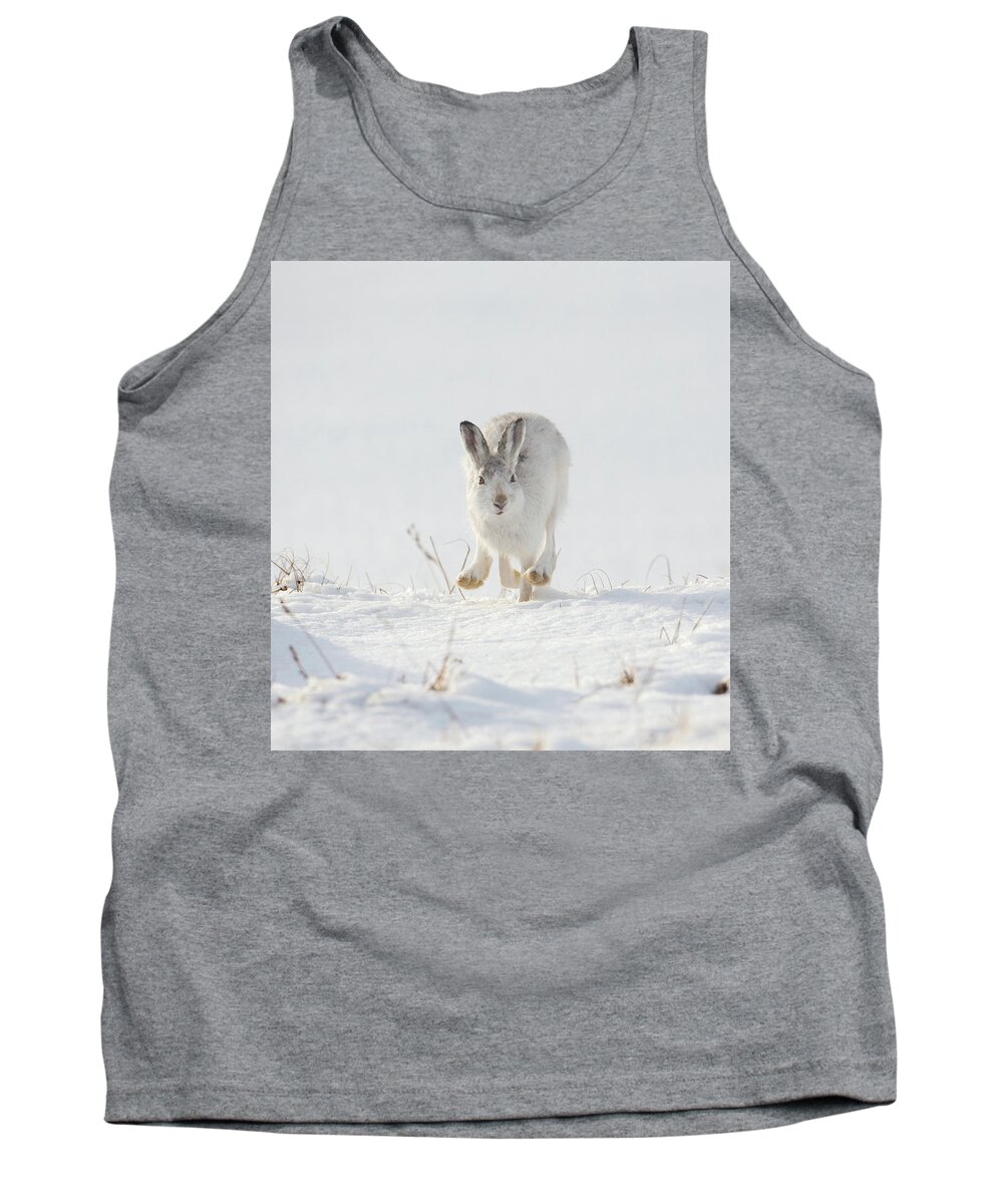 Mountain Tank Top featuring the photograph Mountain Hare Approaching by Pete Walkden