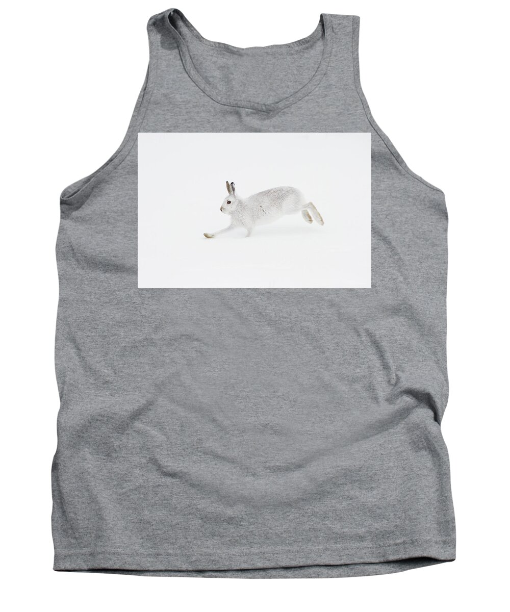 Mountain Tank Top featuring the photograph Mountain Hare Running by Pete Walkden