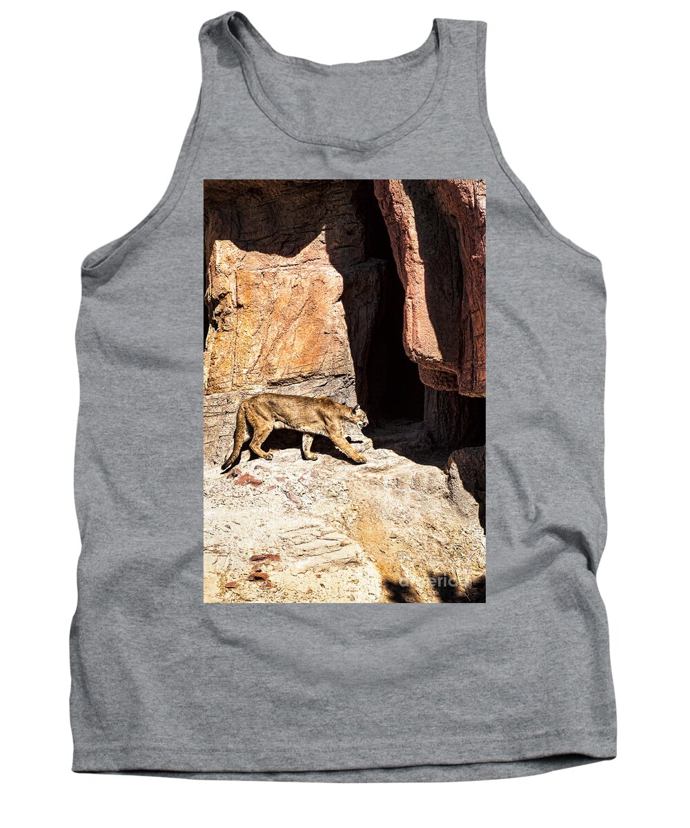 Animal Tank Top featuring the photograph Mountain Lion by Lawrence Burry