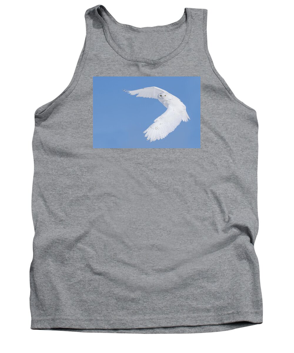 Art Tank Top featuring the photograph Mr Snowy Owl by Mircea Costina Photography