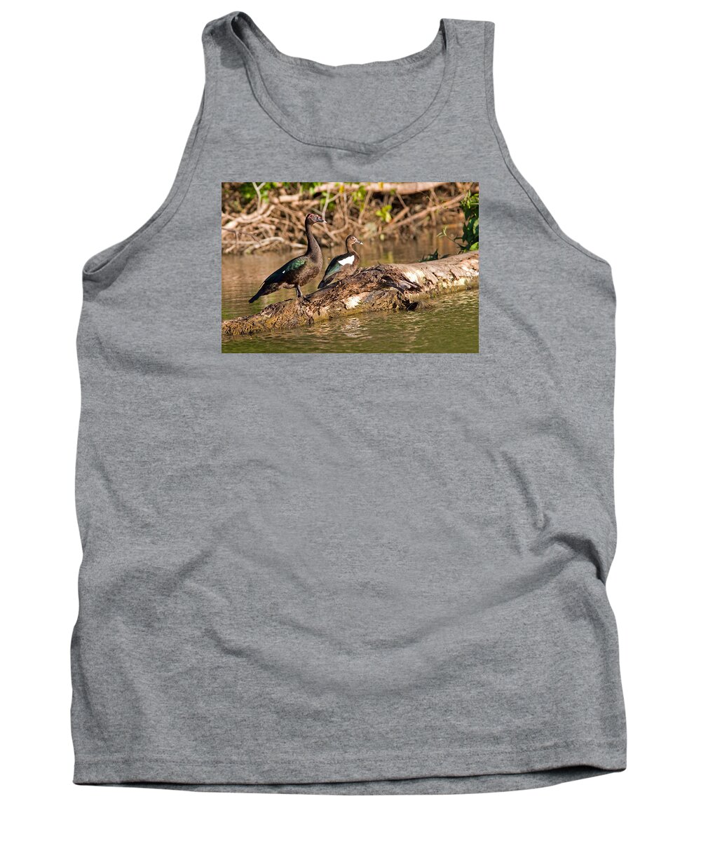 Peru Tank Top featuring the photograph Muscovy Ducks at Lake Salvador by Aivar Mikko