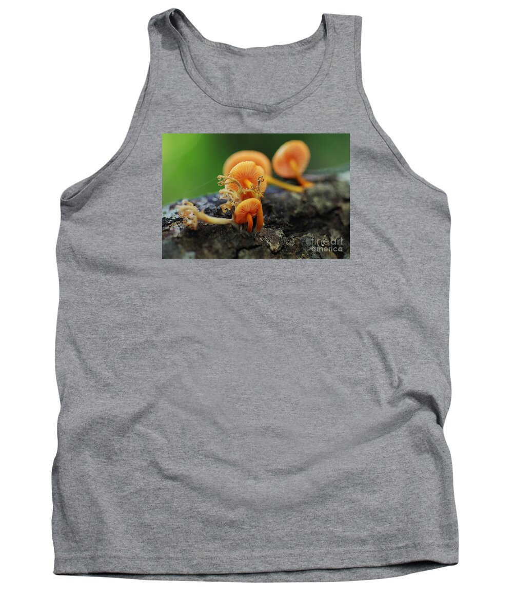 Tank Top featuring the photograph Mushrooms or a Fungus Amongst Us 6 by David Frederick