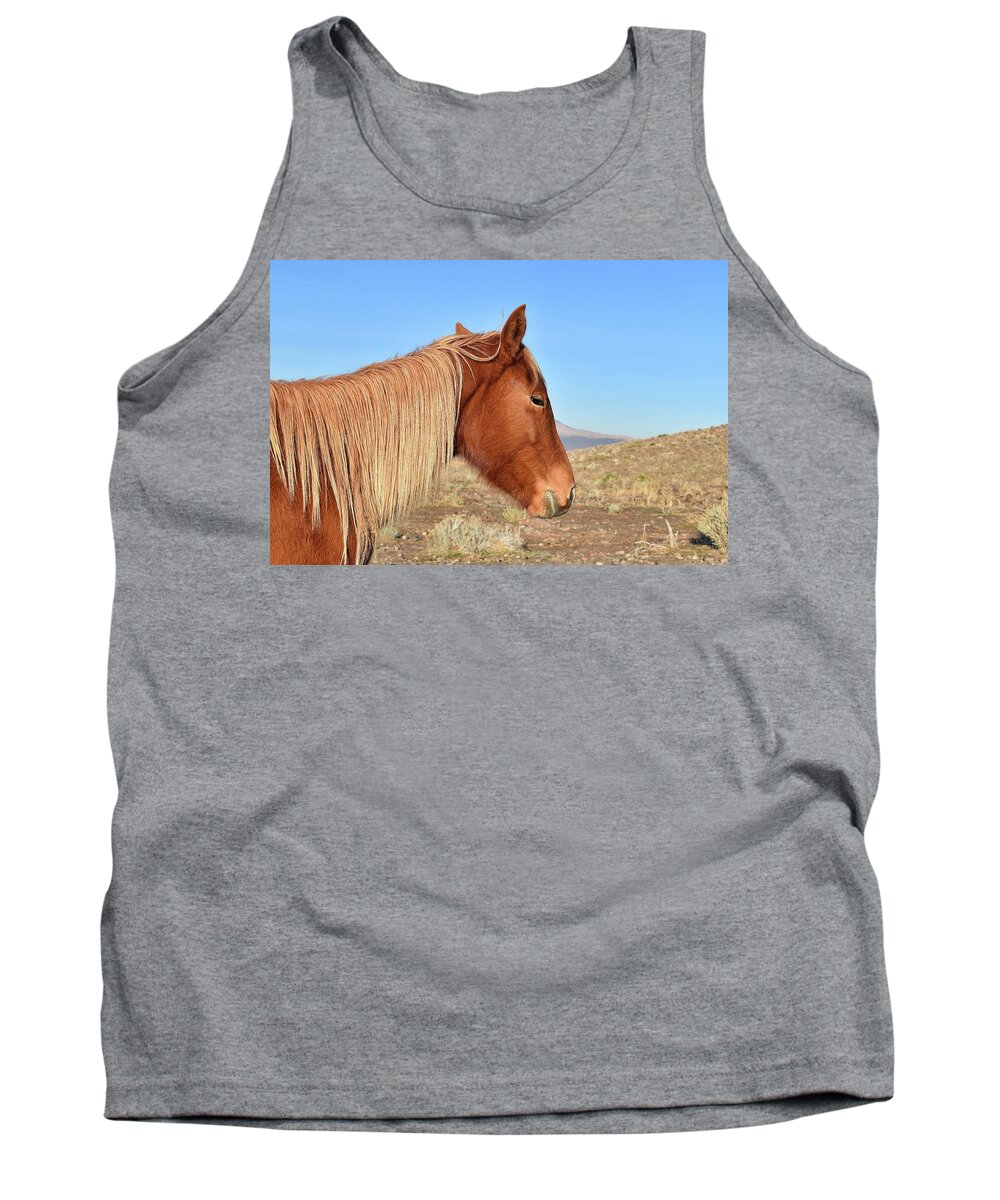 Virginia Range Mustangs Tank Top featuring the photograph Mustang Mare by Maria Jansson