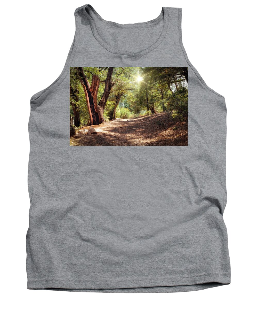 Nature Tank Top featuring the photograph Nature Trail by Alison Frank