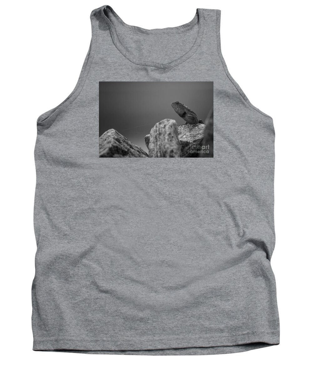 Agamid Lizards Photo From Sri Lanka Tank Top featuring the photograph Nature by Venura Herath