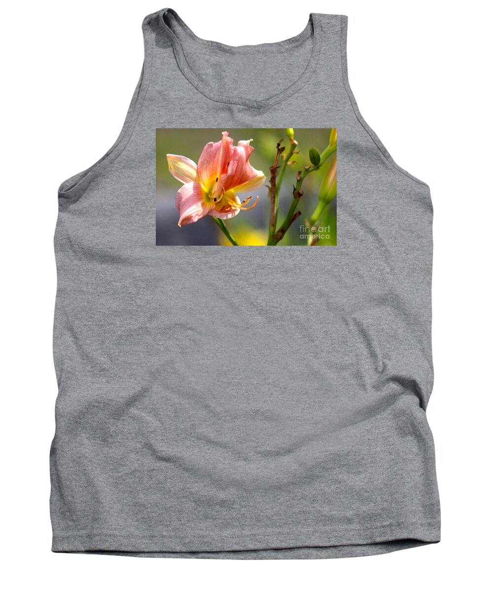Pink Tank Top featuring the photograph Nature's Beauty 124 by Deena Withycombe