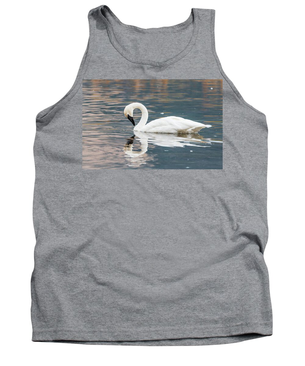 Bird Tank Top featuring the photograph Nature's Grace by Jody Partin