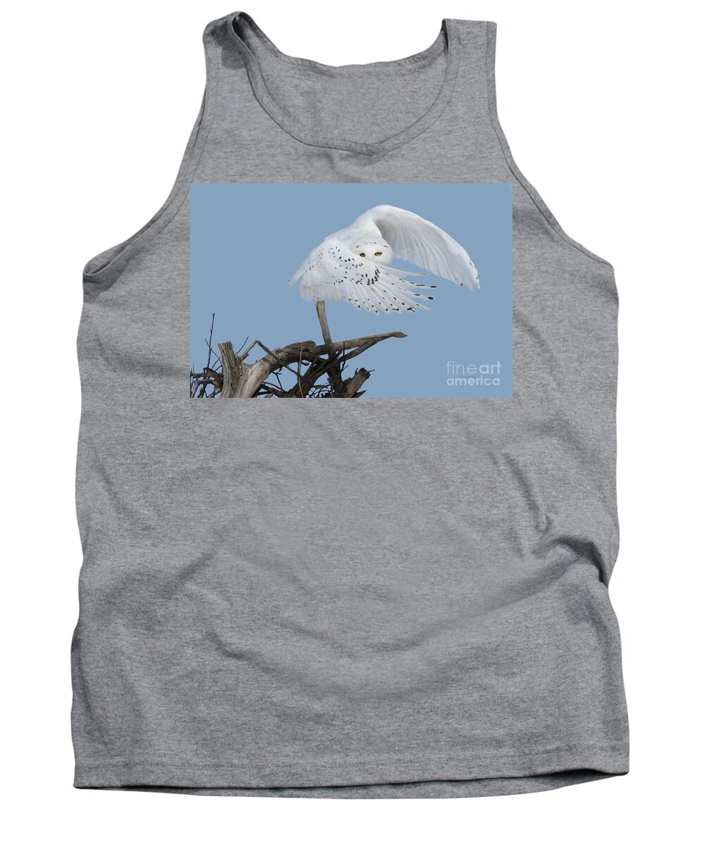 Wildlife Photography Tank Top featuring the photograph Peek - A - Boo by Heather King