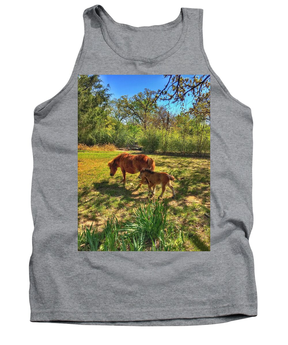 Horses Tank Top featuring the photograph New Birth by Doris Aguirre