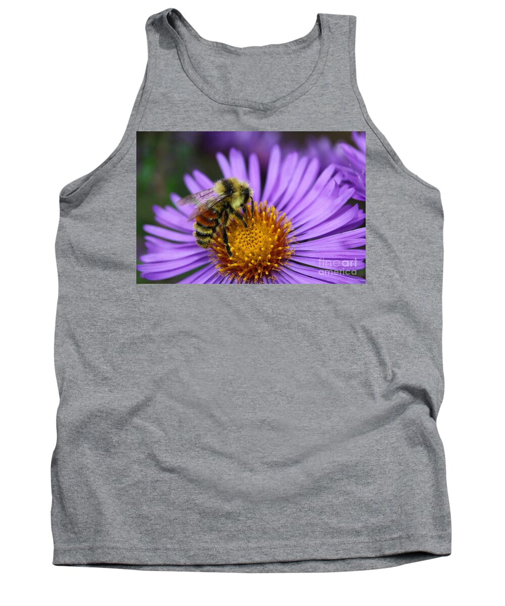 Bee Tank Top featuring the photograph New England Aster and Bee by Steve Augustin