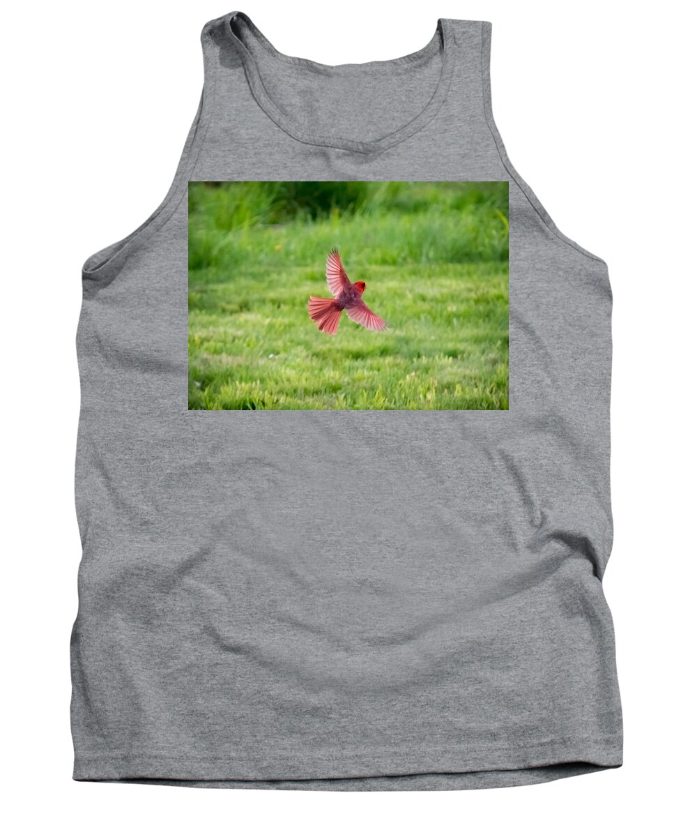 Northern Cardinal Tank Top featuring the photograph Northern Cardinal in Flight by Holden The Moment