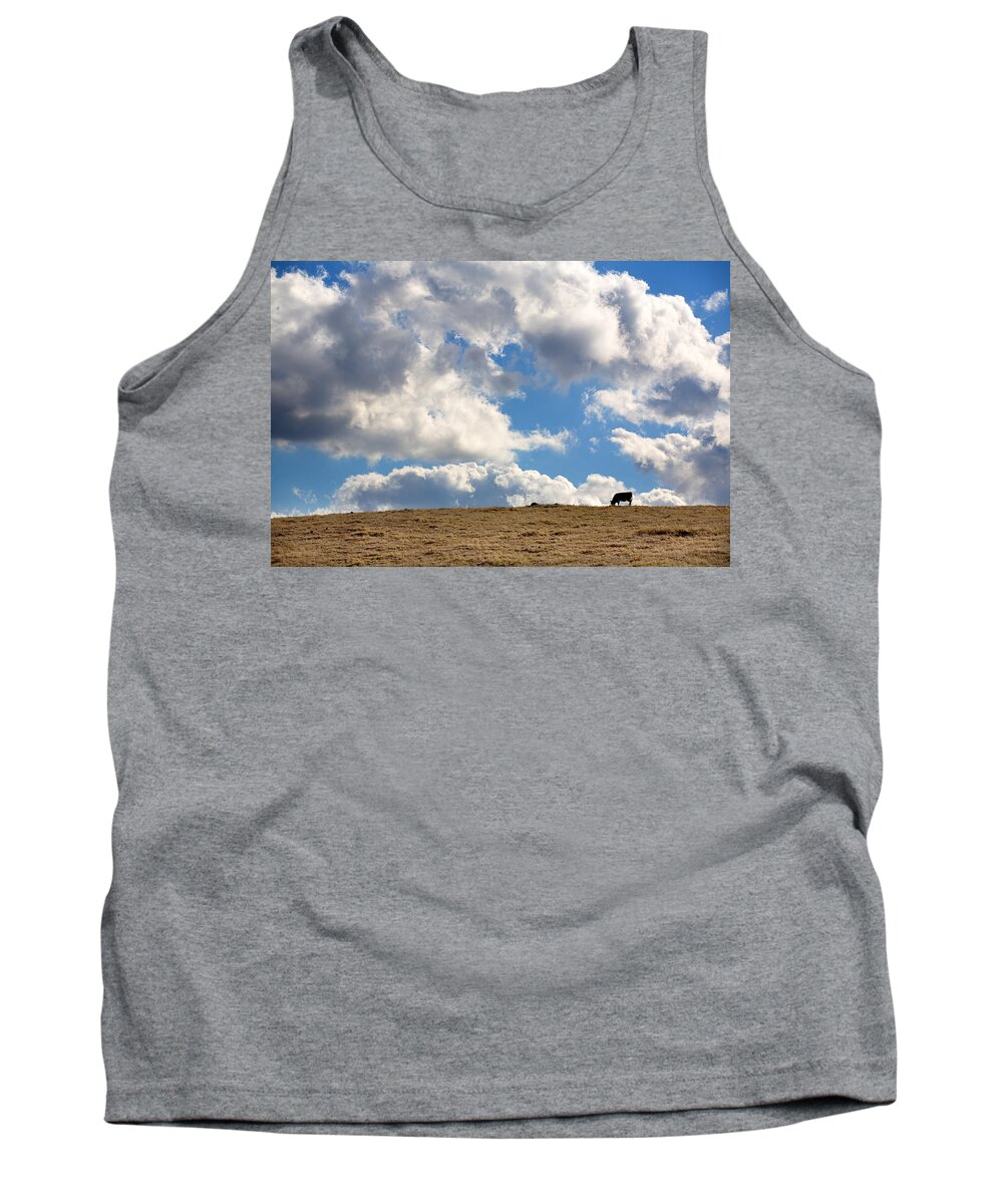 Big Sky Tank Top featuring the photograph Not a Cow in the Sky by Peter Tellone
