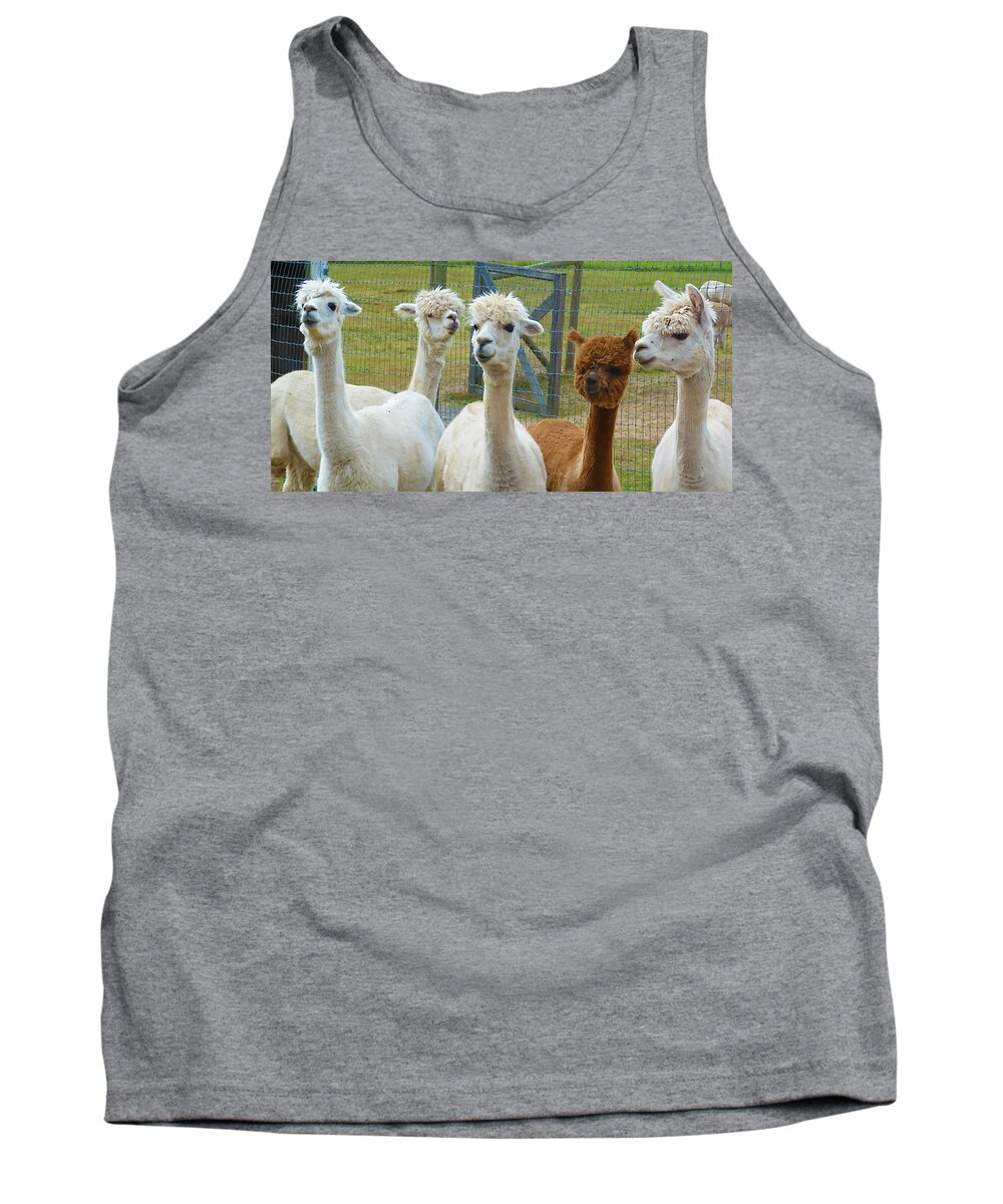 Alpaca Tank Top featuring the photograph Not from Around Here by Terry Fiala