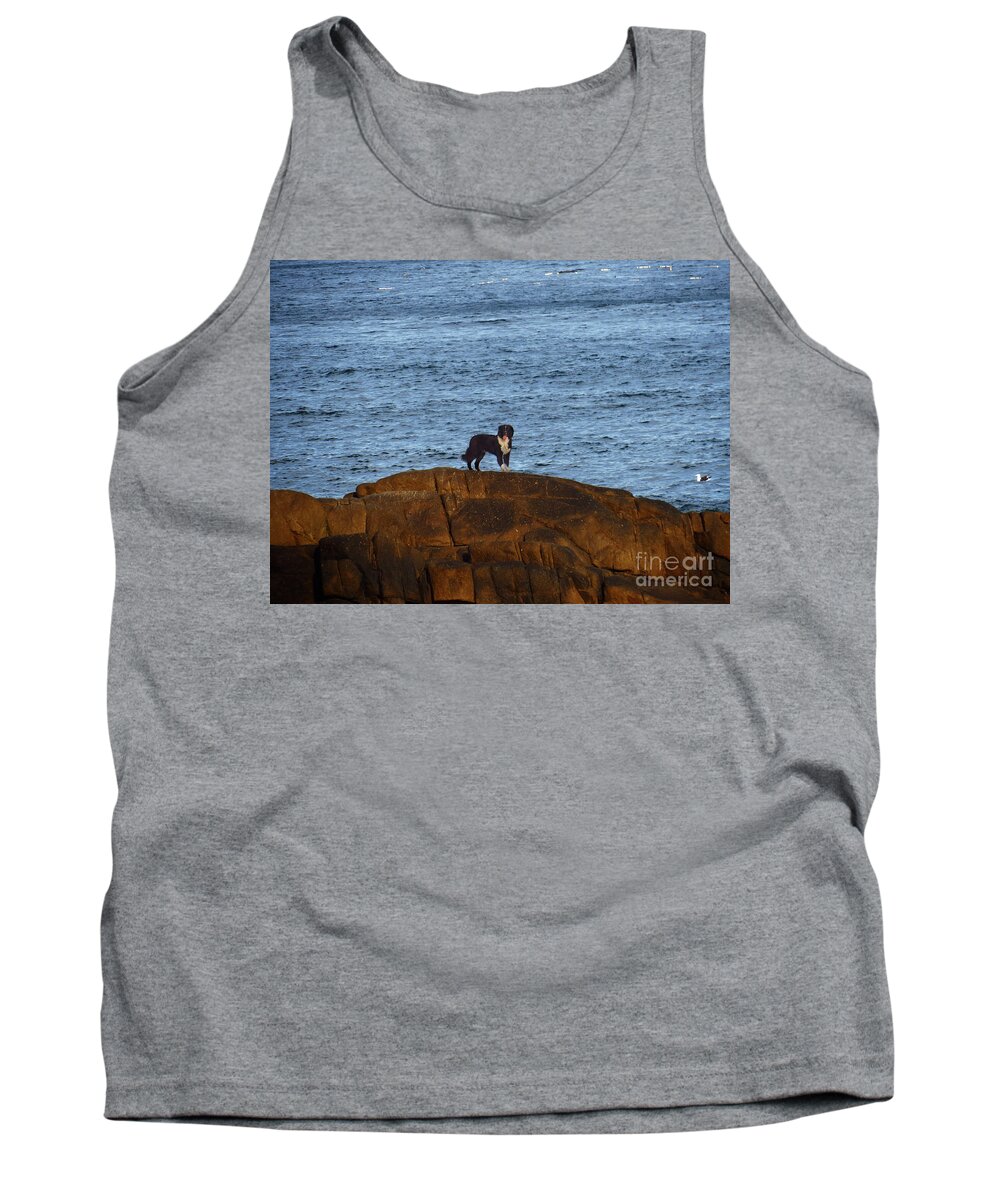 Dog Tank Top featuring the photograph Ocean Dog by Metaphor Photo